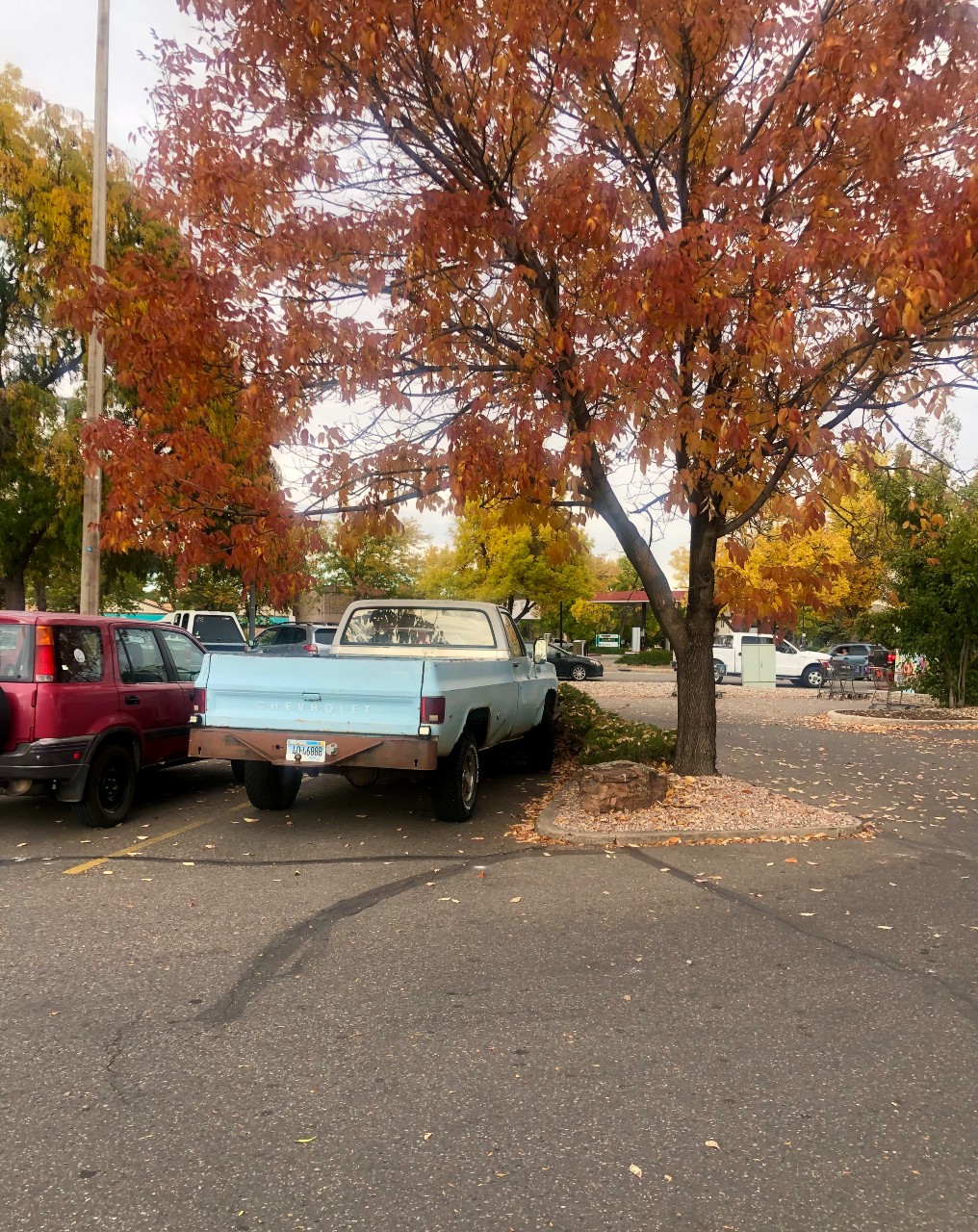 a truck beneath an autumnal tree outside our local gym