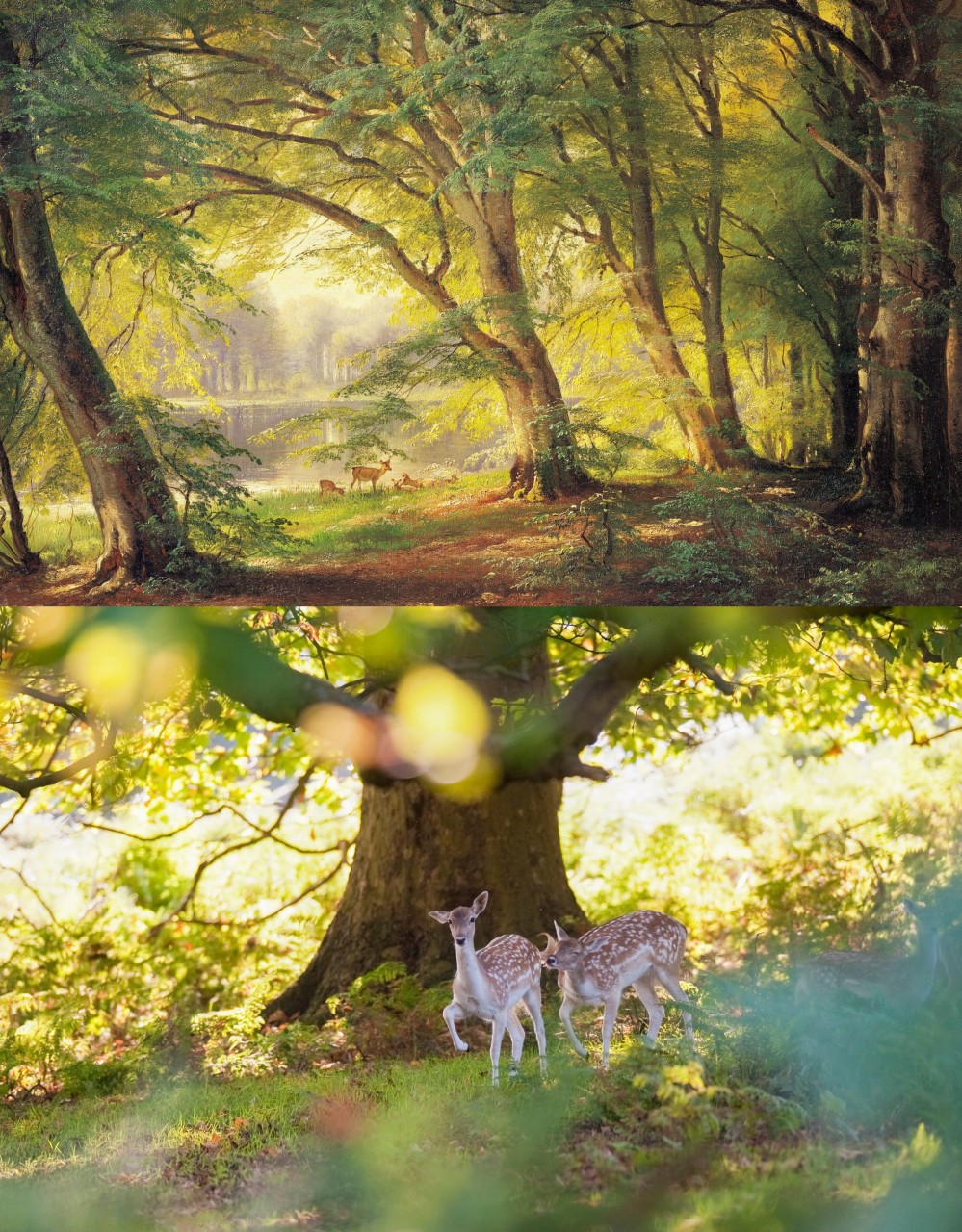two images of deer in a summer scene; one a supposedly sentimental painting, the other a photograph