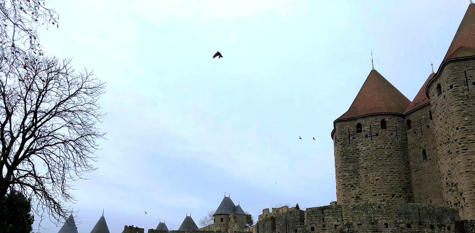 diving doves next to medieval walls