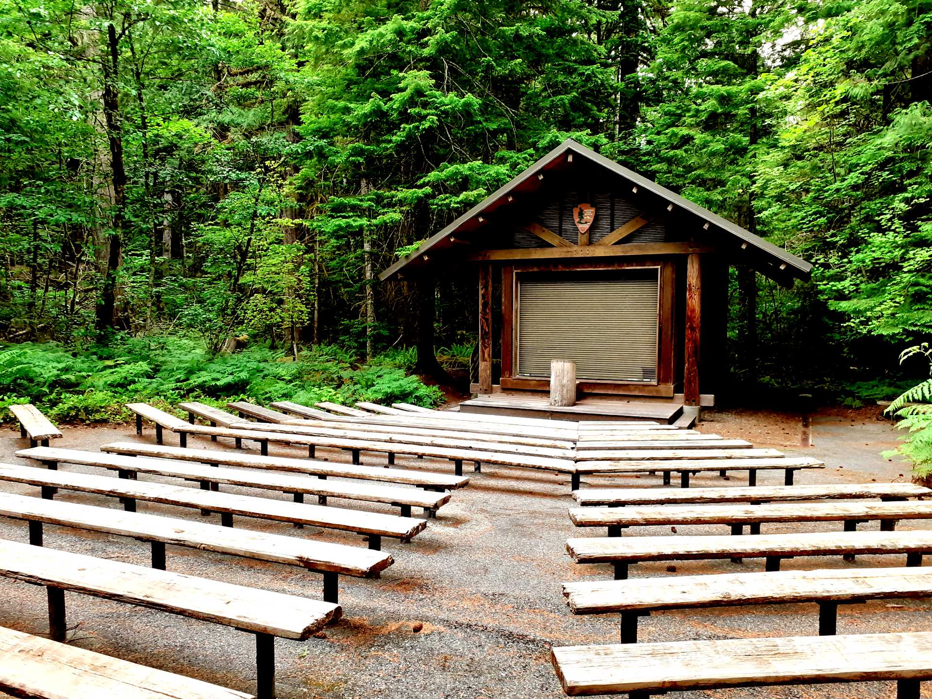 an amphitheatre in the woods