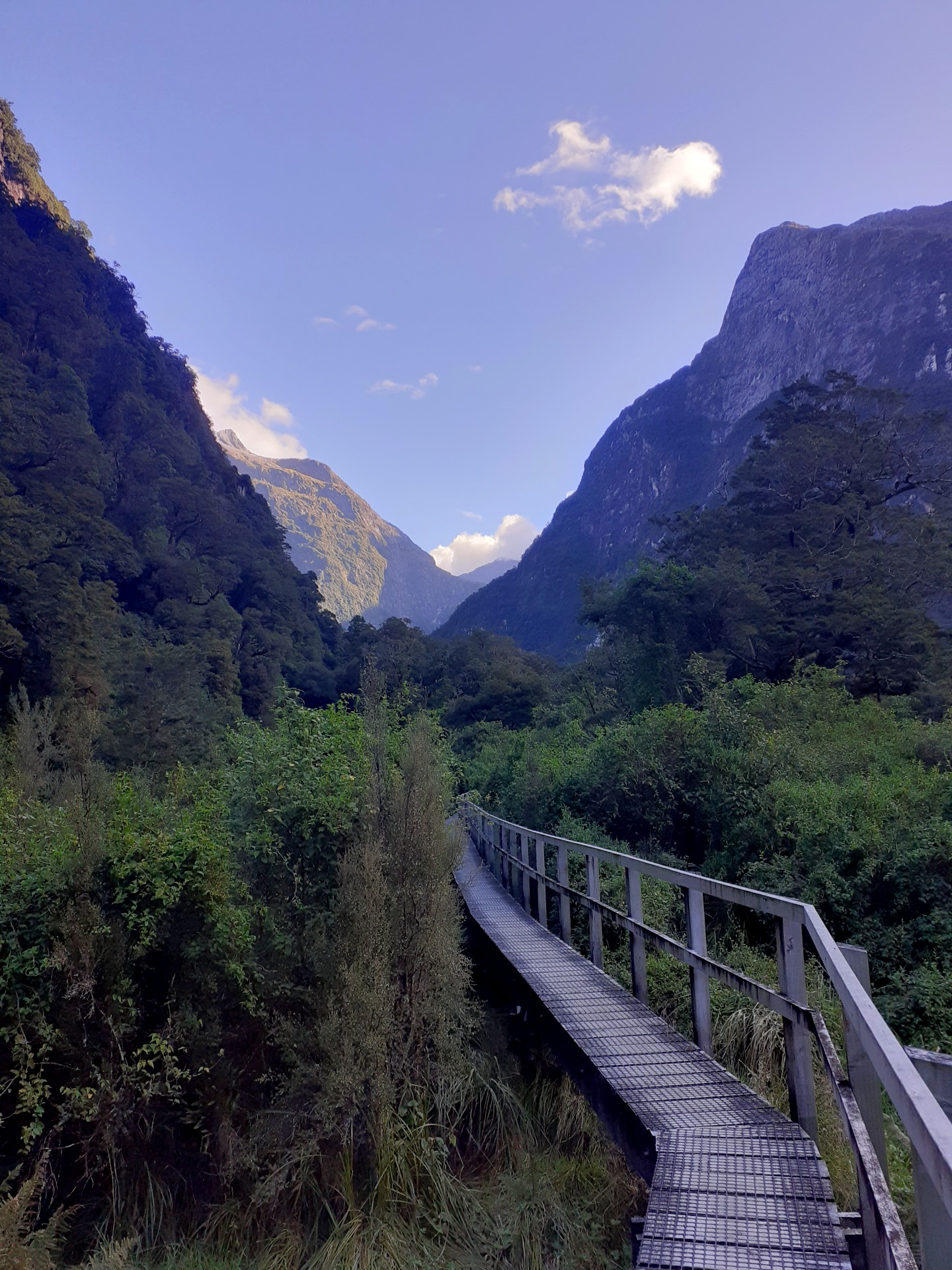 a walkway through the valley