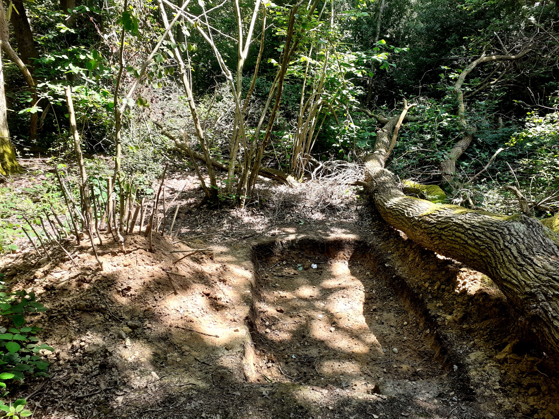 a shallow rectangular hole, dug in the forest by no one in sight