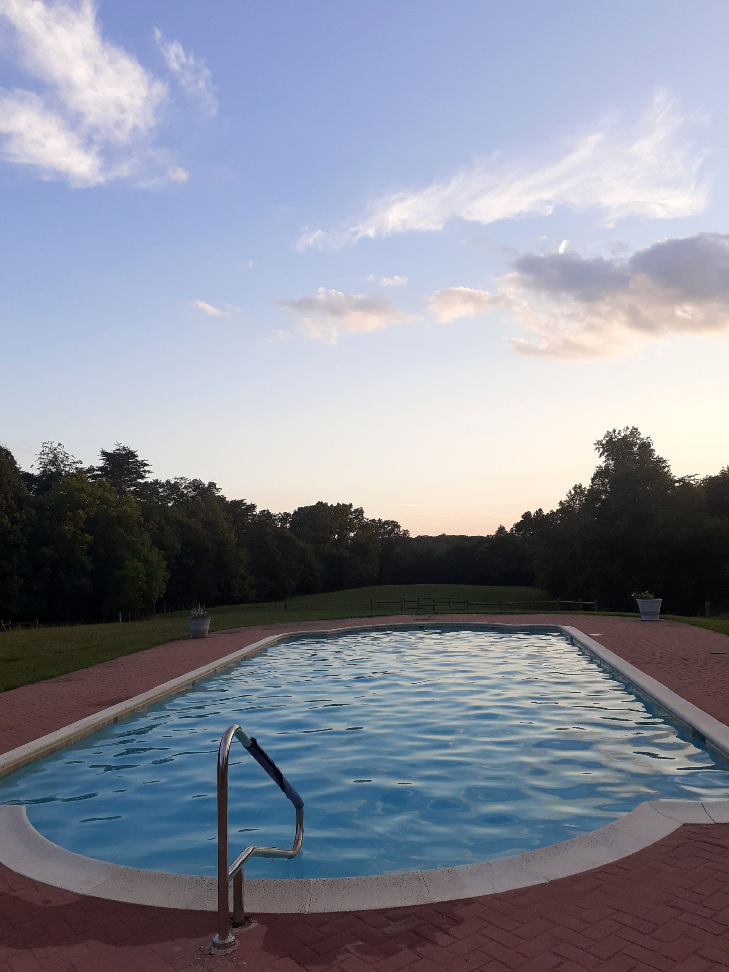 the pool, a deer in the background, remaining hidden