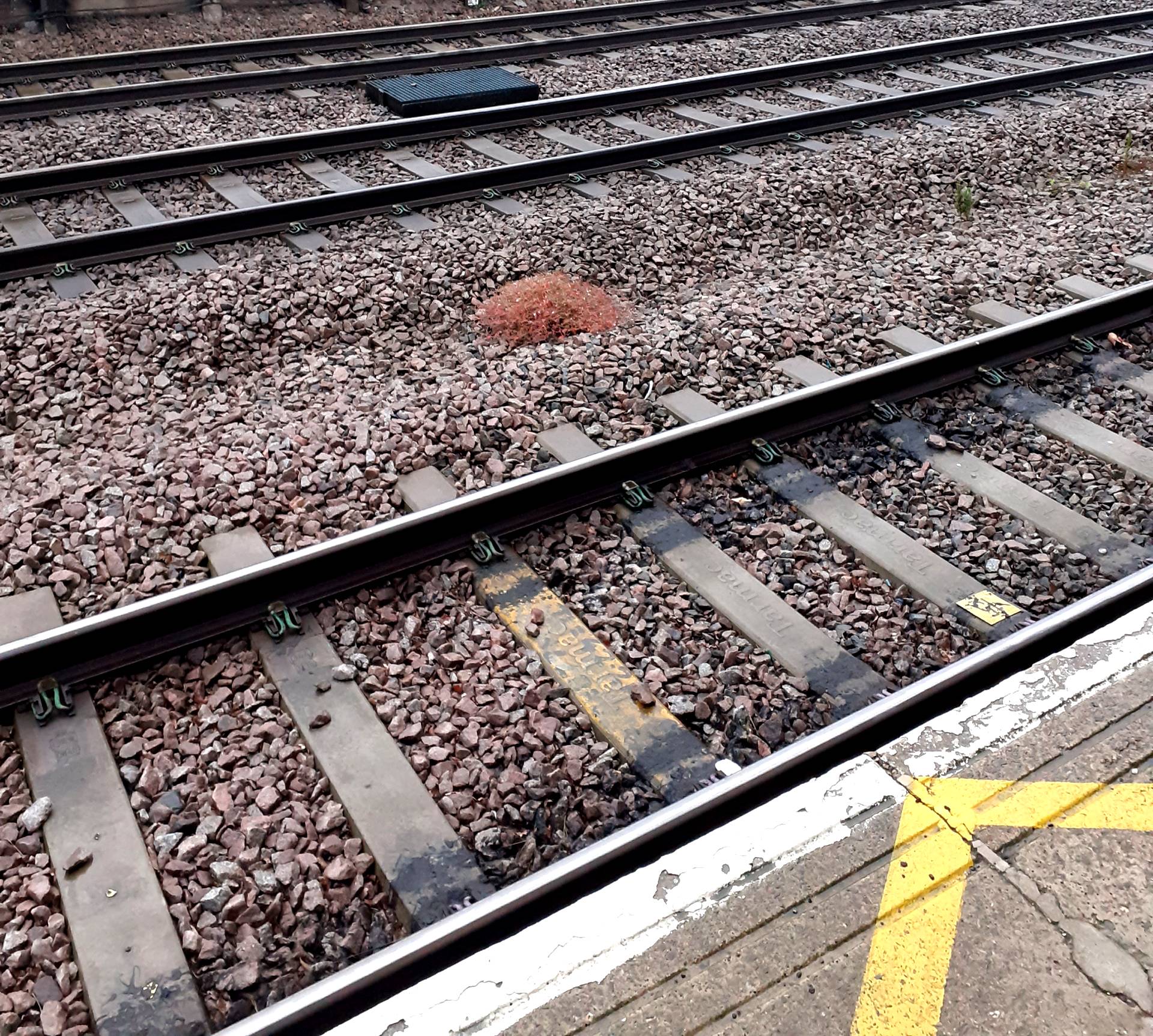 train tracks at Colchester station