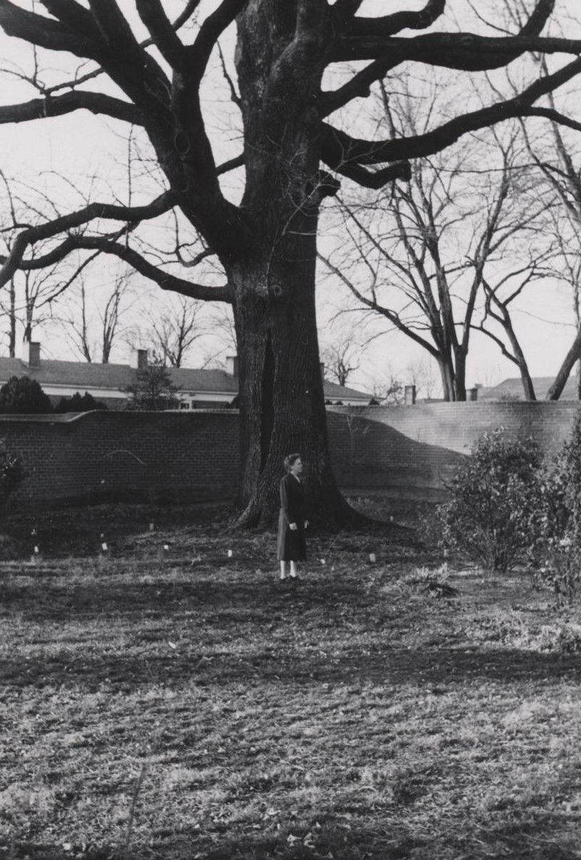 someone standing beneath the ash