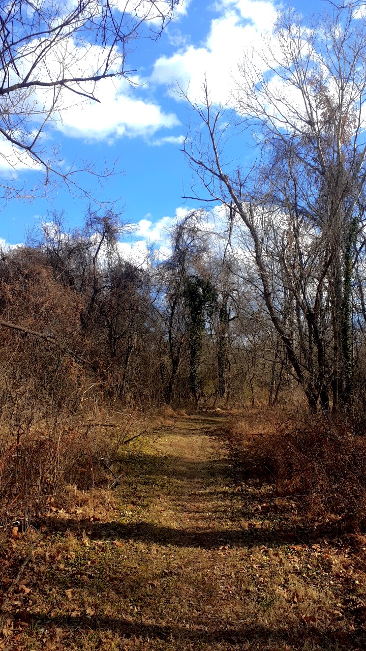 a path somewhere in winter in Virginia